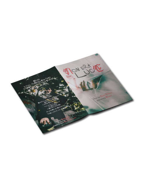ZINE 001 - Non era Luce - BelPaese, La Genesi
