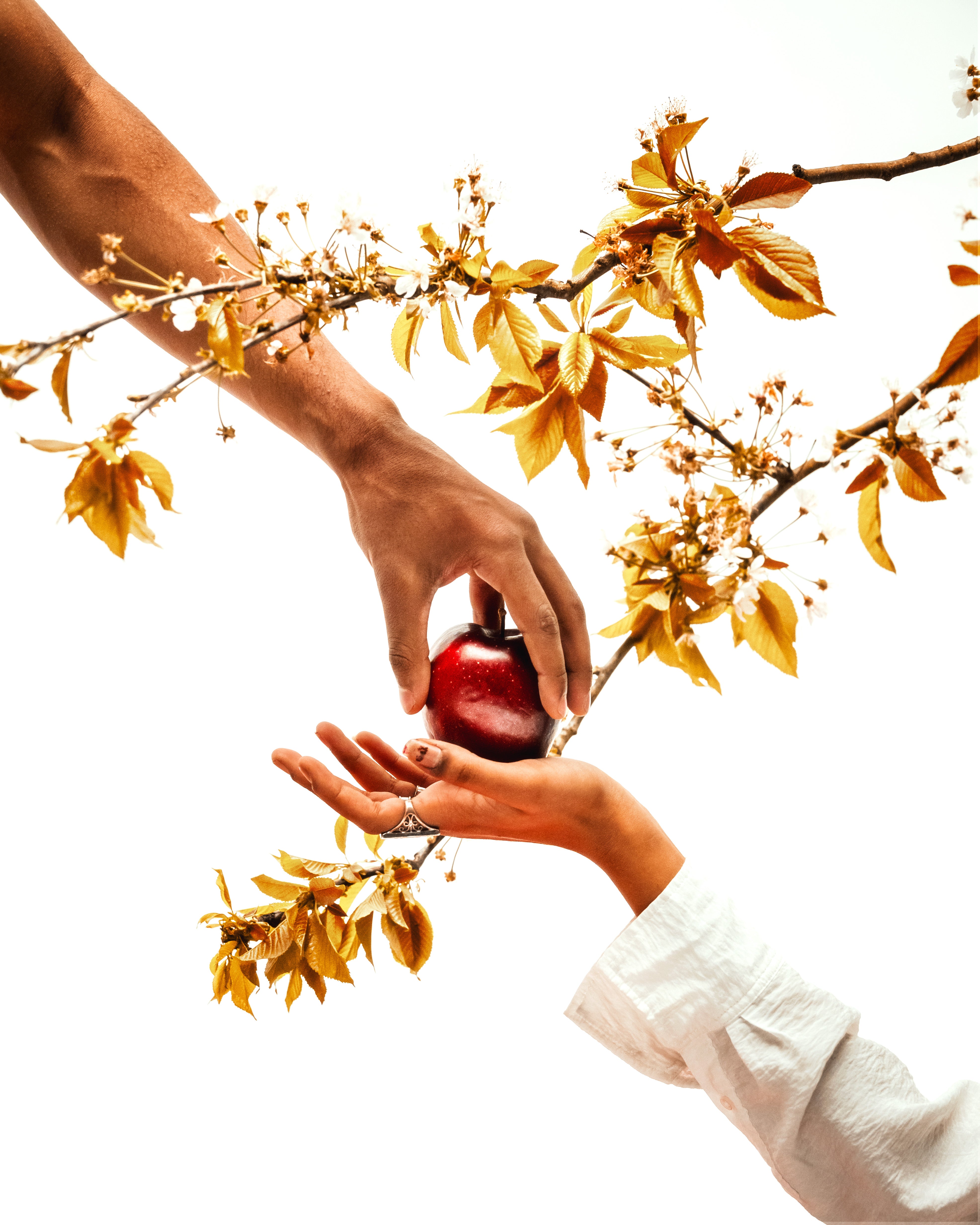 genesi -3.jpg__PID:43d51264-655c-47bc-a818-2e8de215c9e7